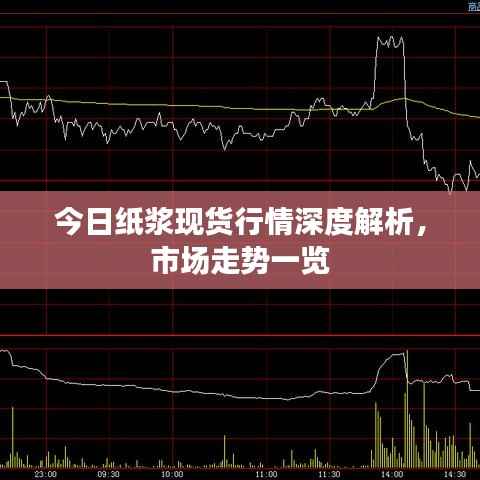 今日纸浆现货行情深度解析,市场走势一览