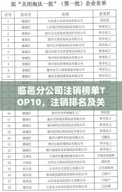 临邑分公司注销榜单TOP10,注销排名及关键信息解析