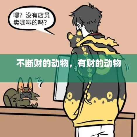 不断财的动物,有财的动物