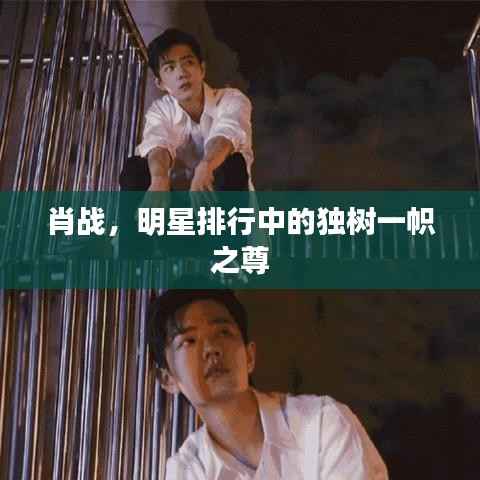 肖战，明星排行中的独树一帜之尊