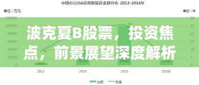波克夏B股票,投资焦点,前景展望深度解析