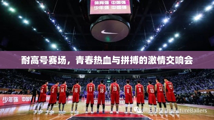 耐高号赛场,青春热血与拼搏的激情交响会